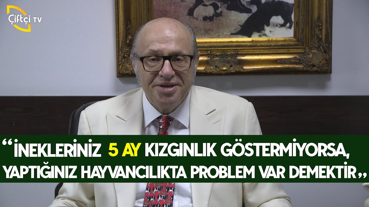 Büyükbaşlarda Ani Ölümlerin Nedenleri / İneklerde Kızgınlık Problemleri - Dersimiz Hayvancılık