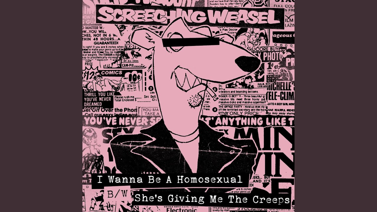 I Wanna Be A Homosexual