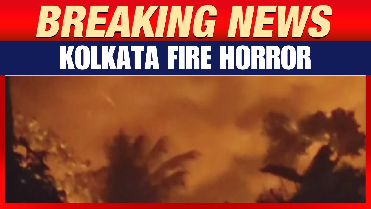 Kolkata Fire: Fire Breaks Out At Slum Area Near Eco Park In Kolkata | Visuals