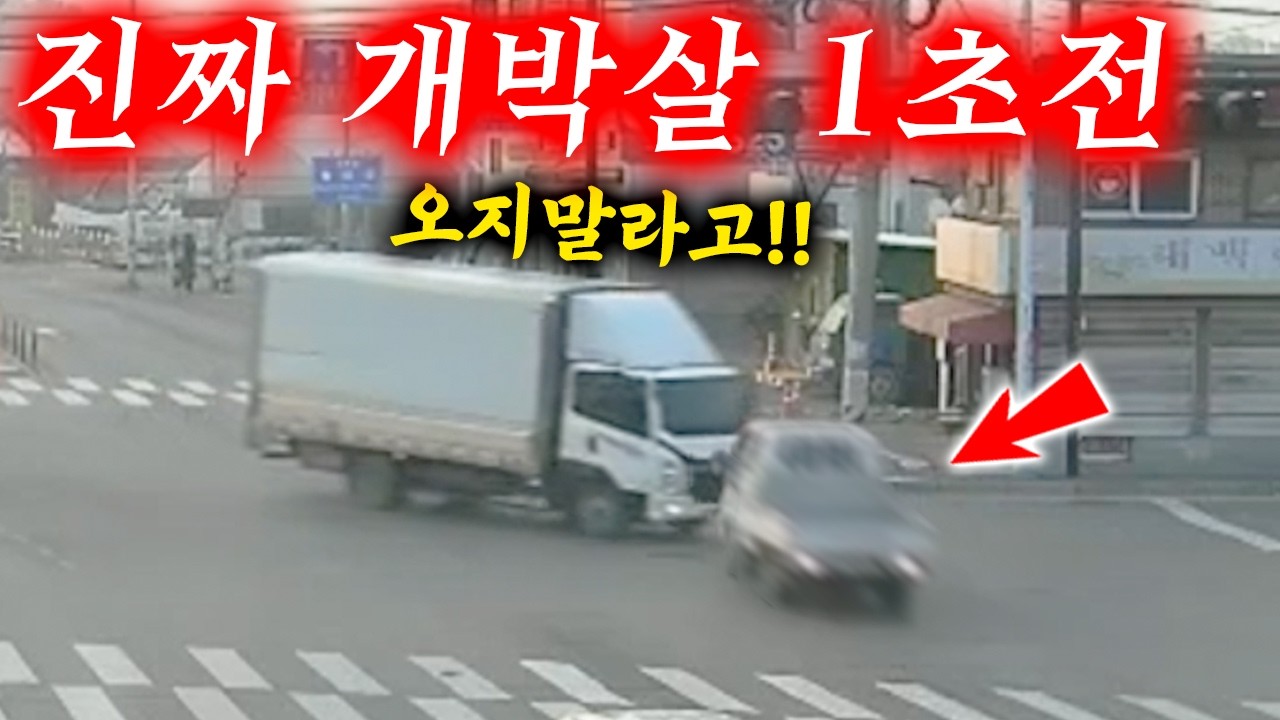 미친듯이 달려와서 개박살 내놓고 거짓말하길래 CCTV를 확인해봤더니.. 2025최신블랙박스모음집 I 그것이 블랙박스