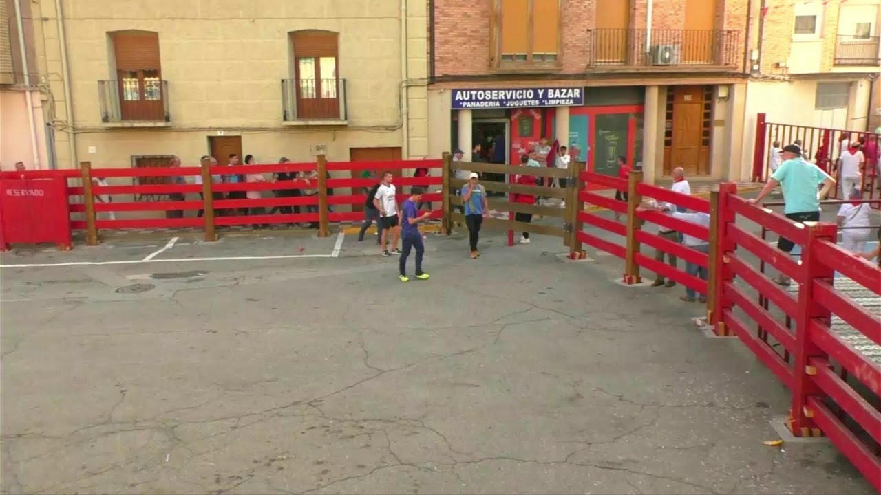Villafranca, Fiestas 2023, Encierro tarde, Lunes 18/09/23