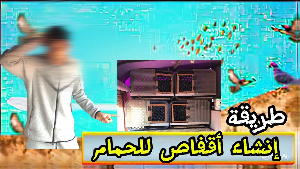طريقة كيفاش تصيب أقفاص🔨للحمام ديالك بأسهل طريقة 🕊️وبأقل تمن 💰💵