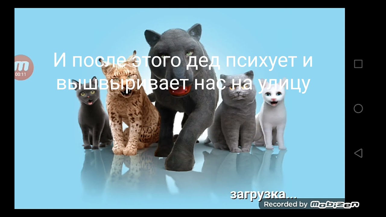 ЖУТКАЯ ПАСХАЛКА РАЗРАБОТЧИКА В ИГРЕ Cat simulator 2015