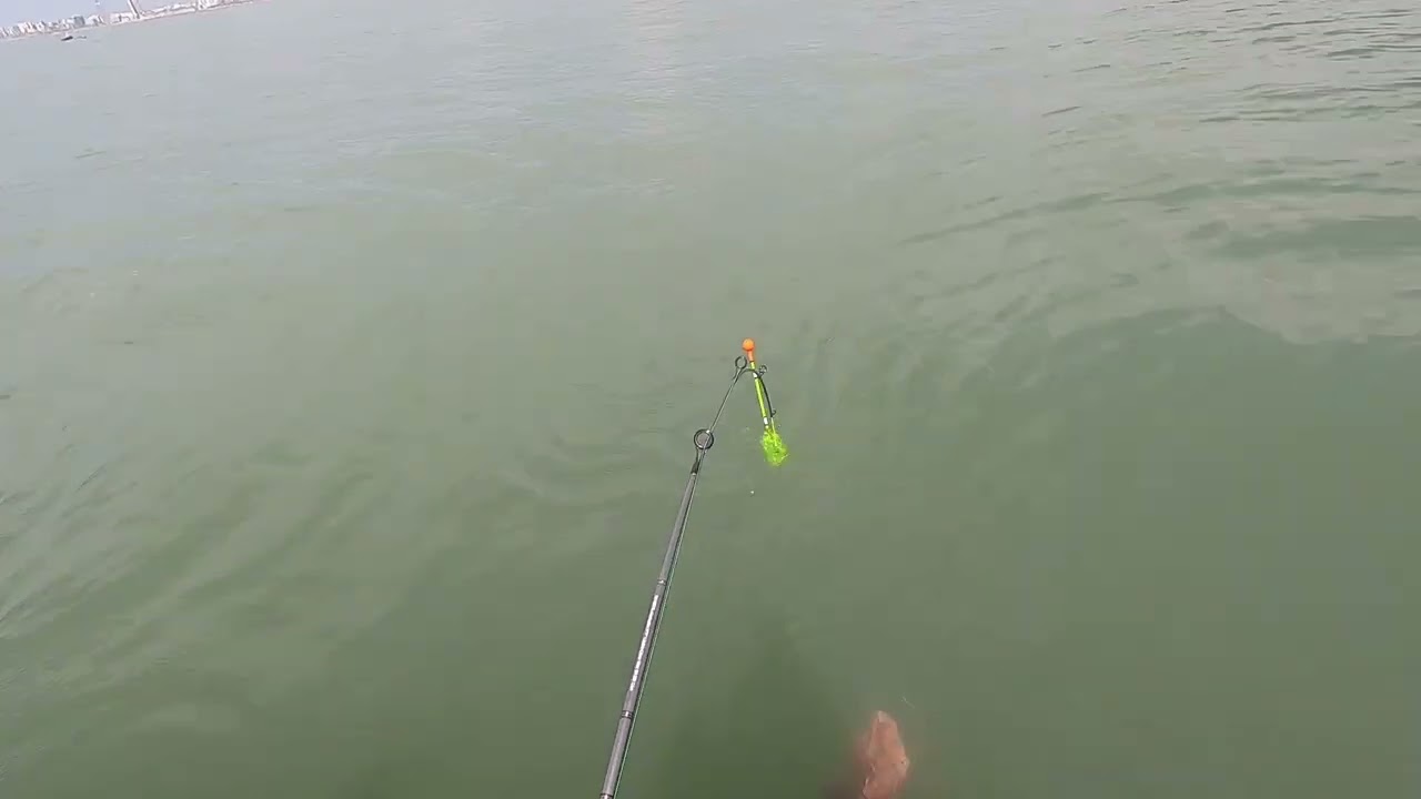 #pesca con boya de corvina en #kayak