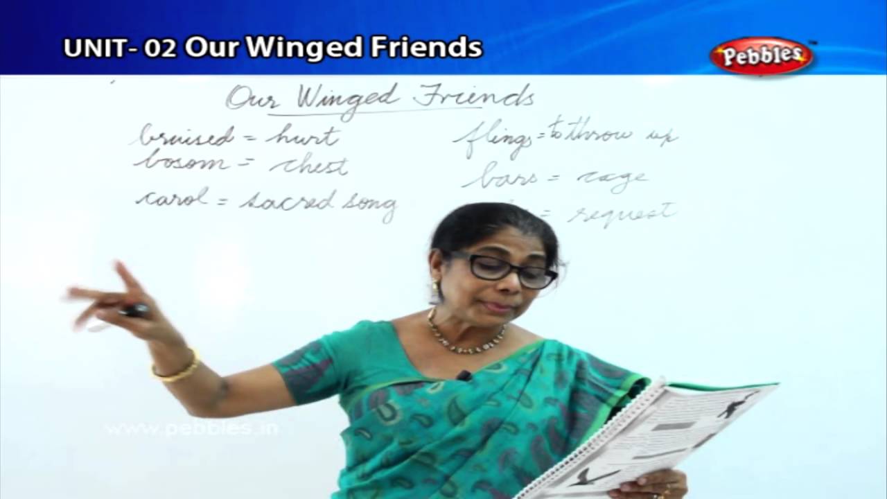 Our Winged Friends 1 || Term 02 || UNIT 02 || TN  8th Std English