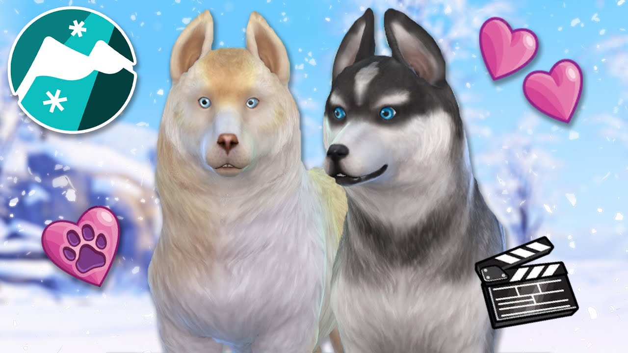 Expecting Puppies: The Anime!! 🐕🗻 Sims 4: Snowy Sled Dogs &bull; #39