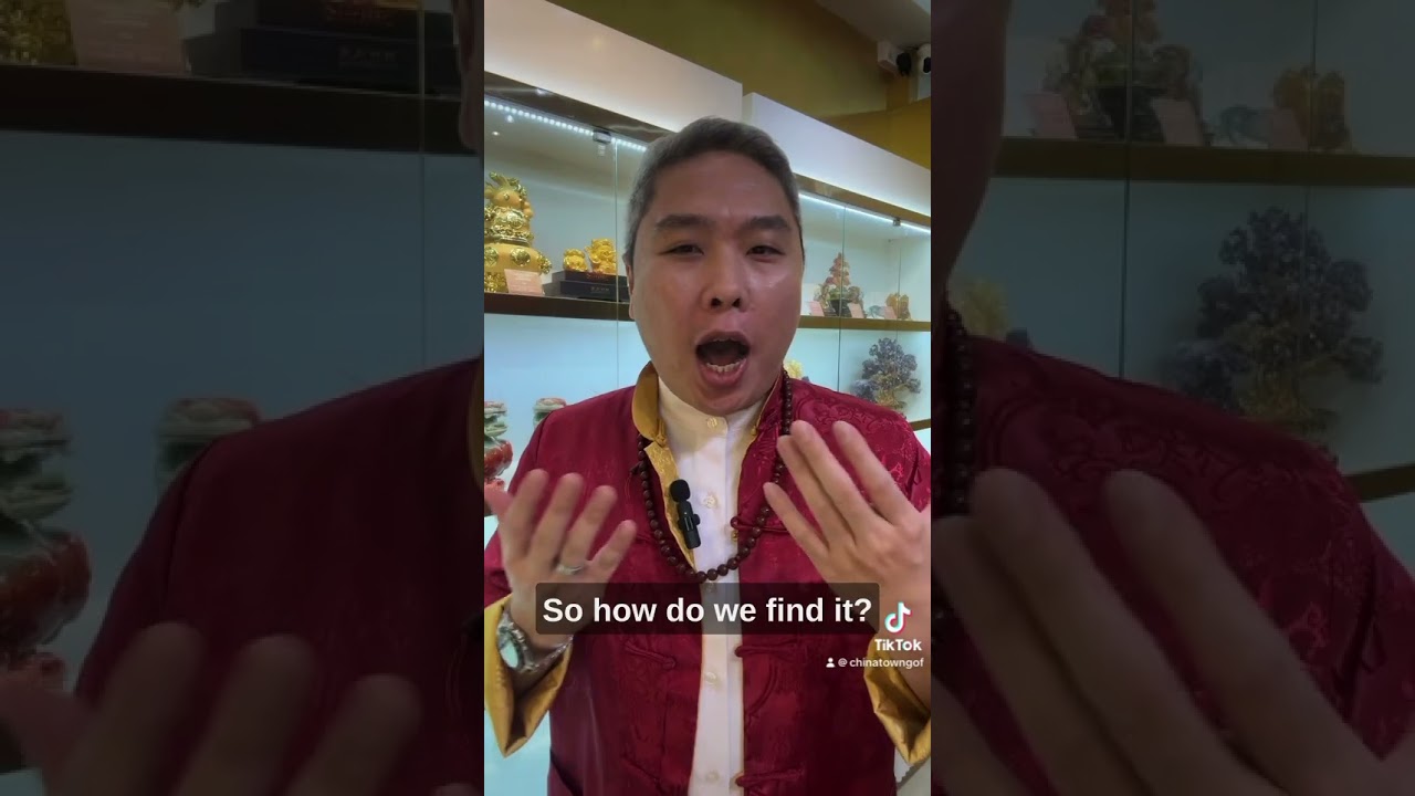 Find the Money Wealth Corner at Home #money #fengshui #fengshuitip #fengshuiconsultant