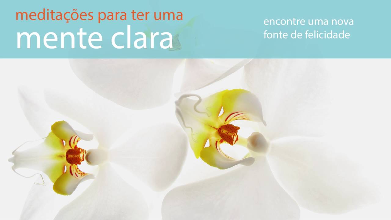 Medita&ccedil;&otilde;es para ter uma Mente Clara: 2 &ndash; Clareza