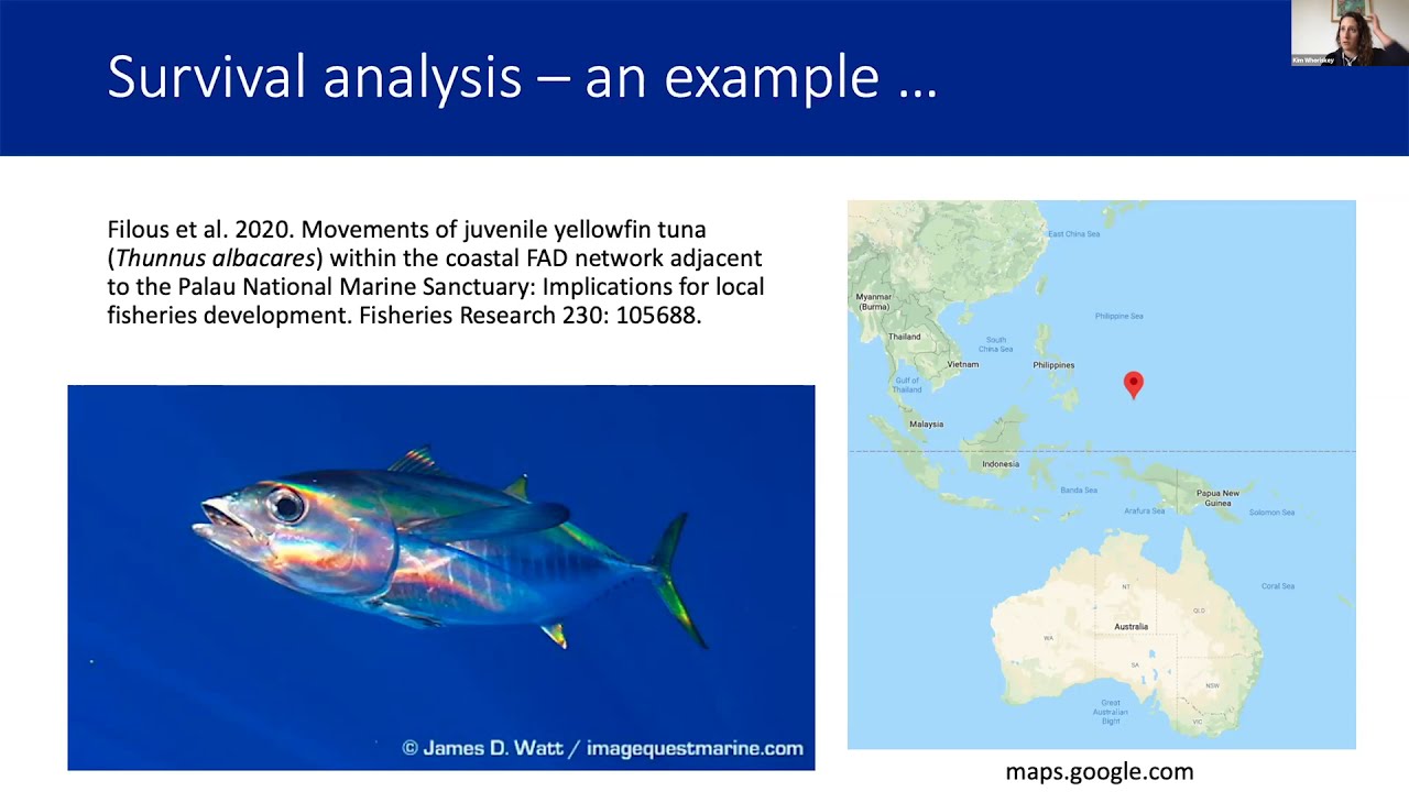 Analyzing acoustic telemetry data—an intro to different analytical techniques