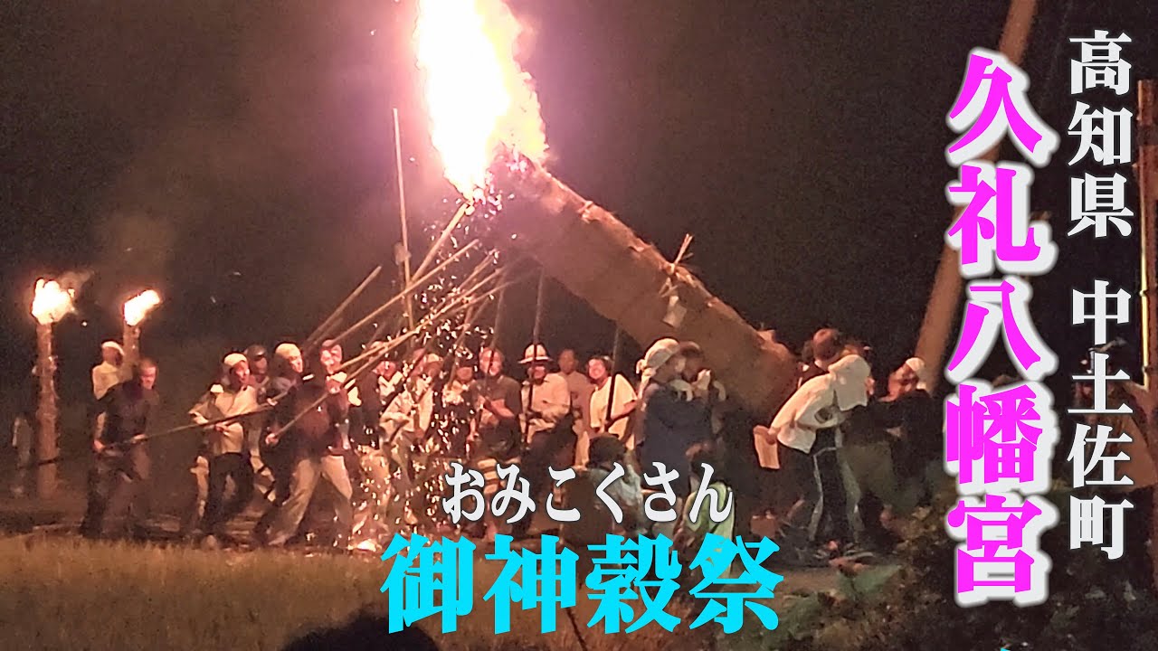 Omikokusan, Kure Hachimangu Shrine, 祝！国の重要無形民俗文化財に答申【久礼八幡宮御神穀祭（おみこくさん）】(4K) 高知県中土佐町