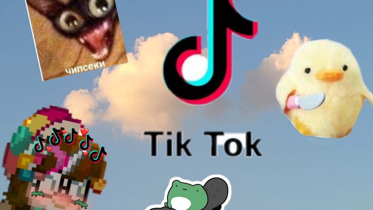 Подборка видео из Тик Тока про Pony town✨(2 часть)