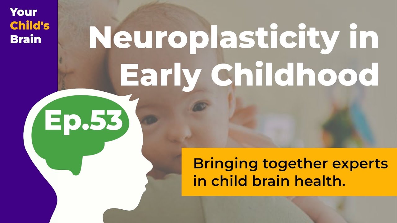 Neuroplasticity in Early Childhood | Your Child's Brain
