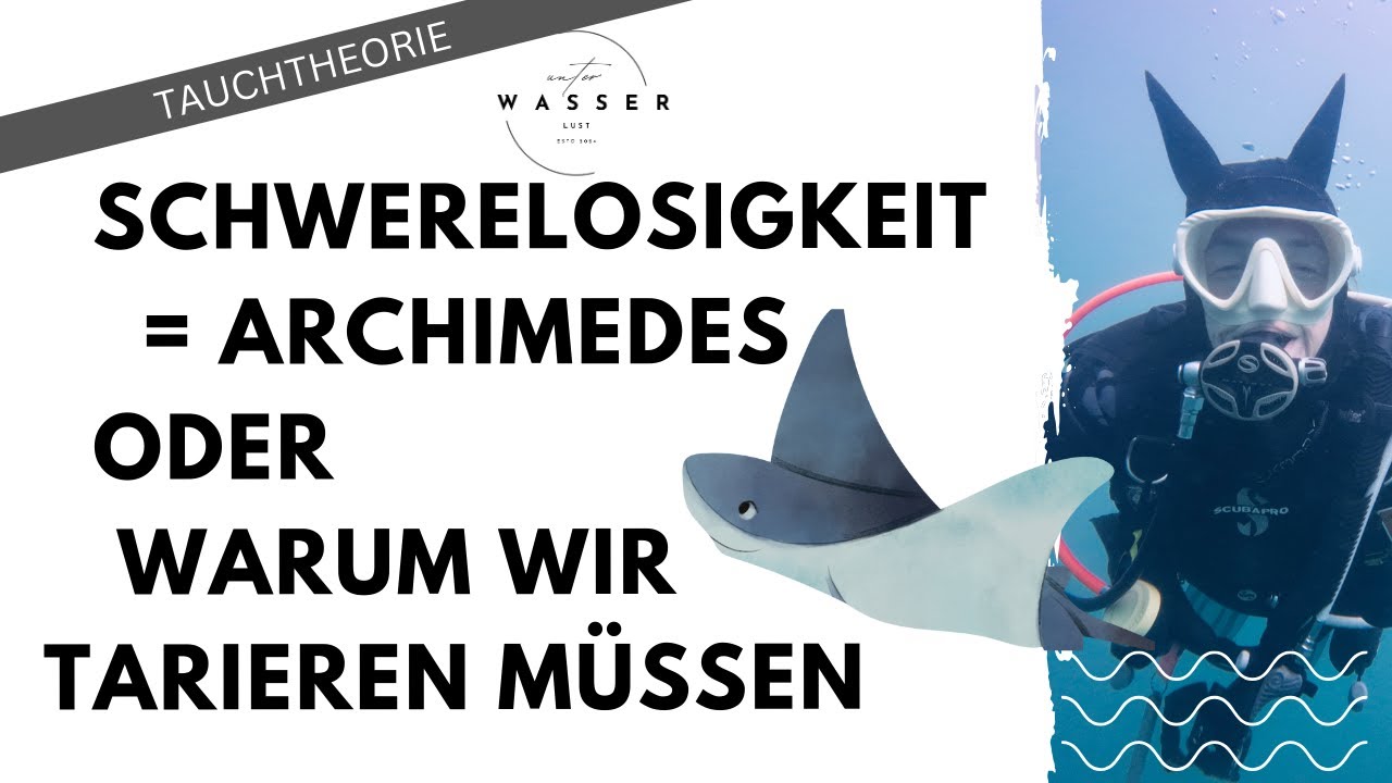 Tarierung beim Tauchen - warum und wie kann ich unter Wasser schweben