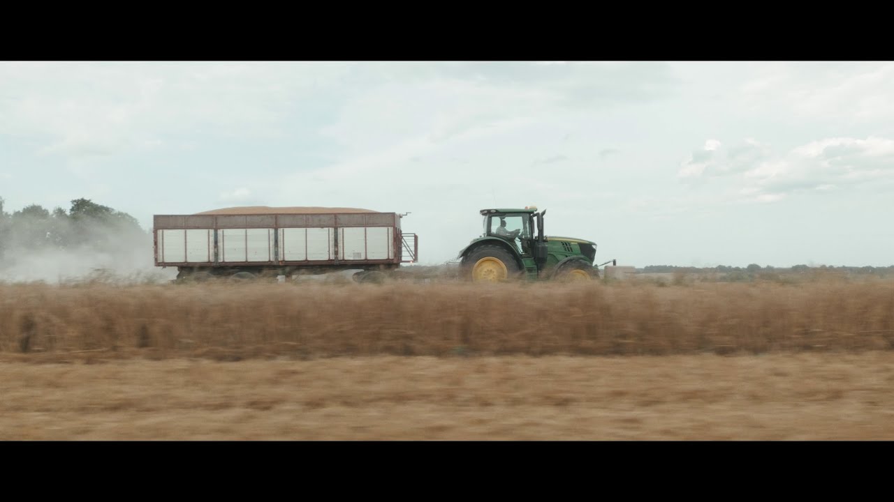🇱🇻 WHEAT HARVEST 2024 | CINEMATIC B ROLL