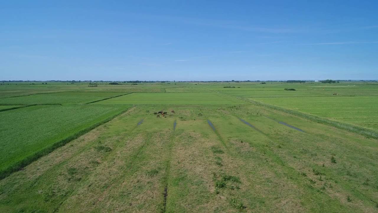 Kurzer FPV Flug mit Typhoon H und Zeiss Cinemizer Oled Brille