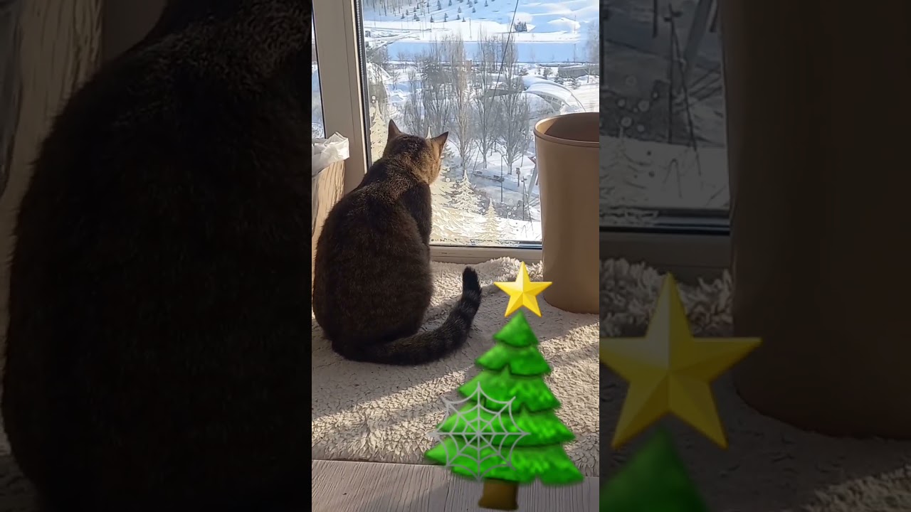 ну вот январь ушёл 🥶☃️ 