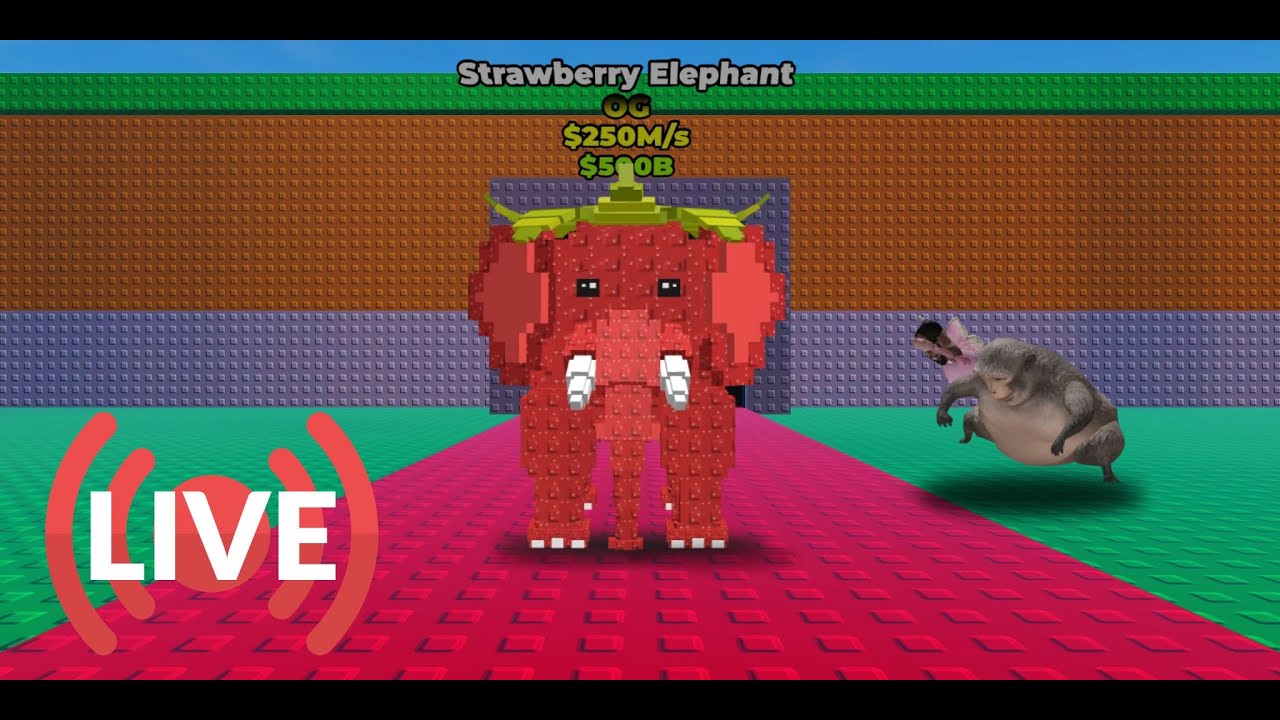 🔴live trading sab and pvb🔴(no index)!