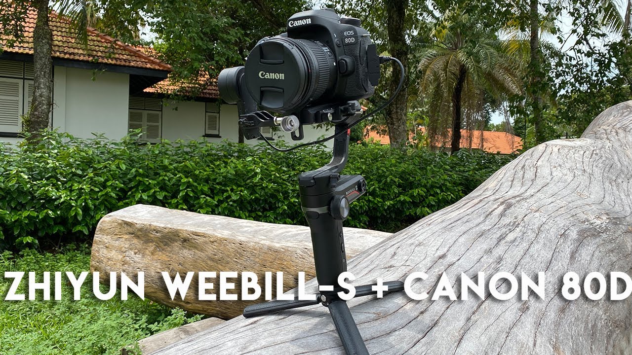 Zhiyun Weebill-S + Canon 80D Video Sample - THAT Zhiyun Wobble