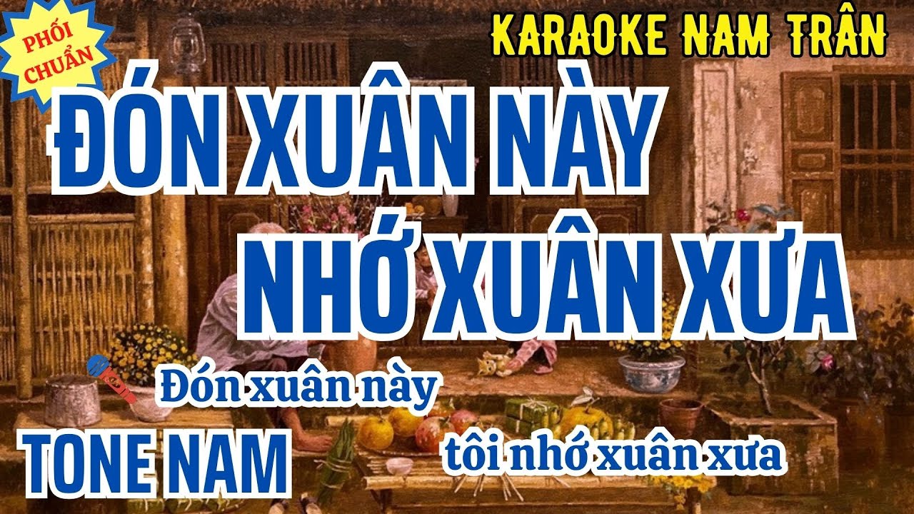 Karaoke Đón Xuân Này Nhớ Xuân Xưa Tone Nam | Nam Trân