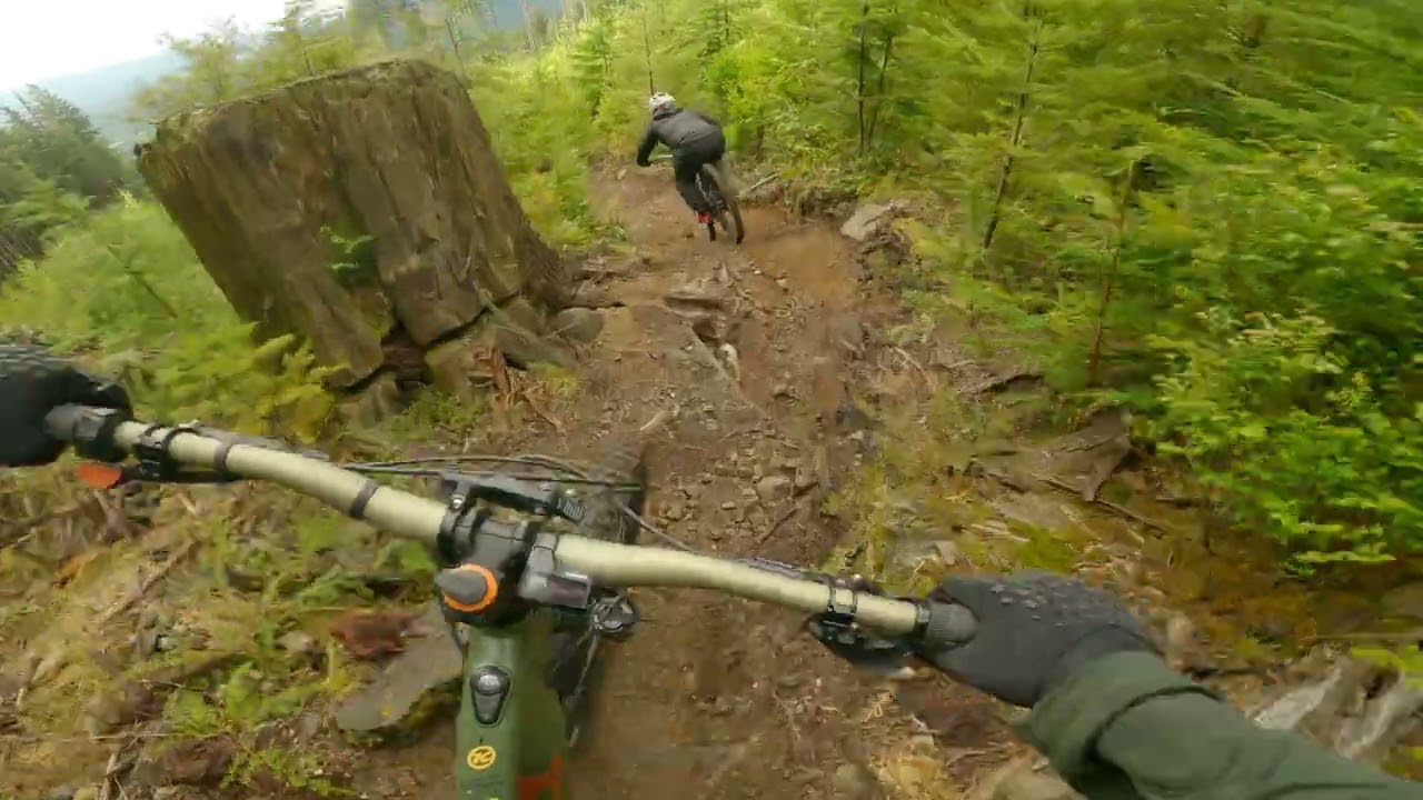 The Woodlot: Connector & PBR
