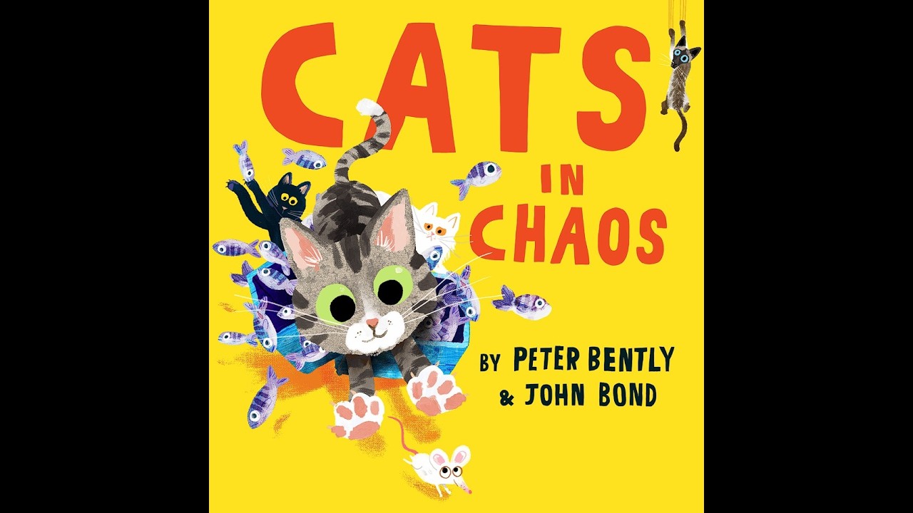 Cats in Chaos