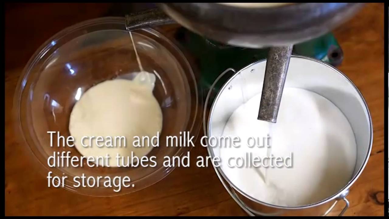 Cream separating