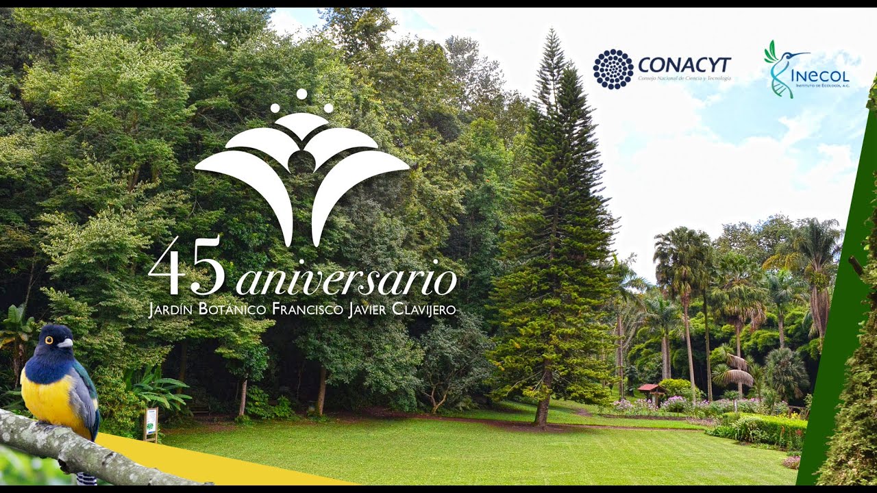 45 aniversario del Jardín Botánico Clavijero