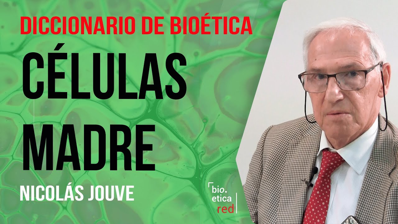 ¿Qué son las Células Madre? Nicolas Jouve. Diccionario de Bioética