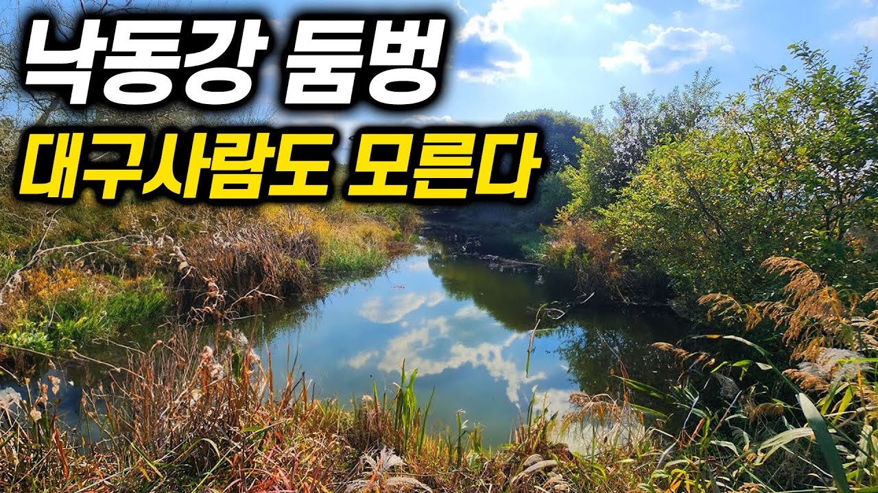 대구 근교 차박낚시 명당, 제보받고 왔습니다 (둠벙 포인트)