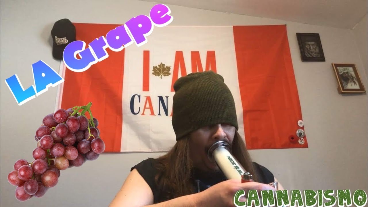 Cigrit Reviews 