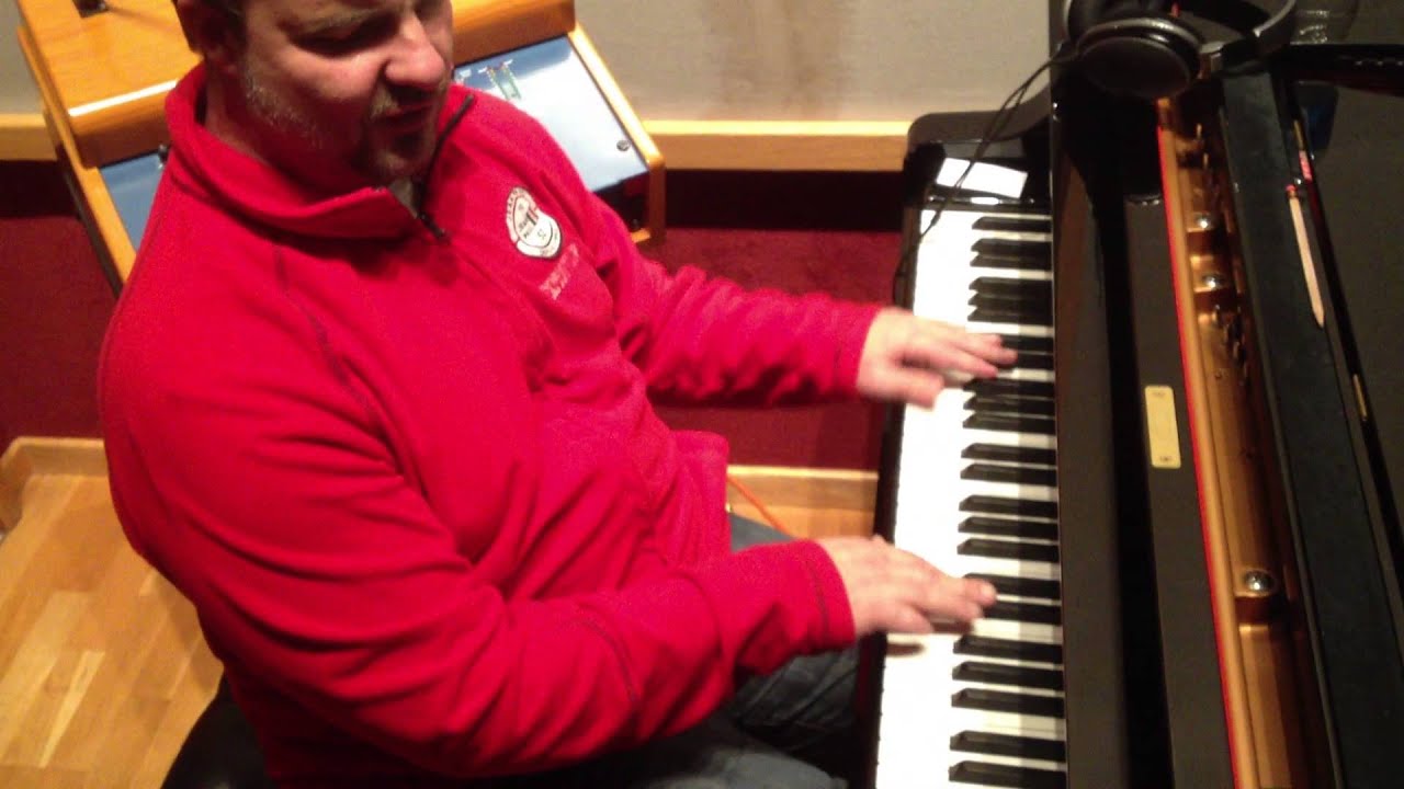 Nashville Session Cats, behind the scenes, volume 1, Gordon Mote