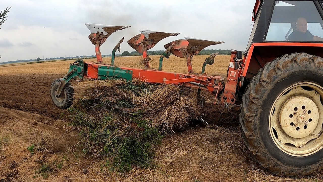 Test orki u Tomasza na próbnym polu przed zasadniczymi