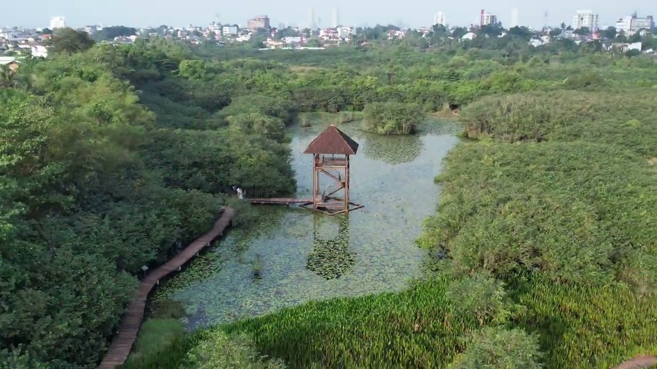 Beddagana Wetland Park