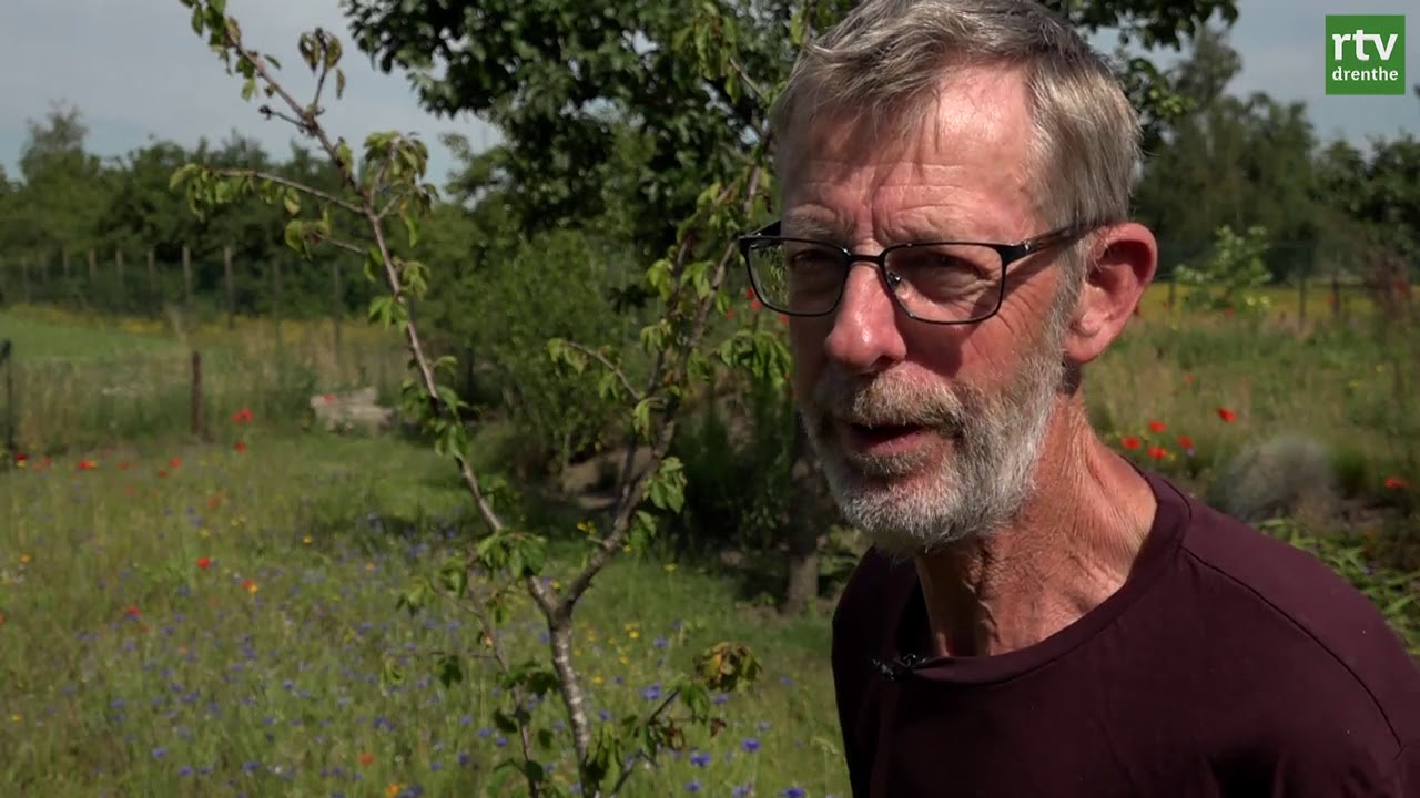 Van gras naar bloemenweide | Natuurtuinen