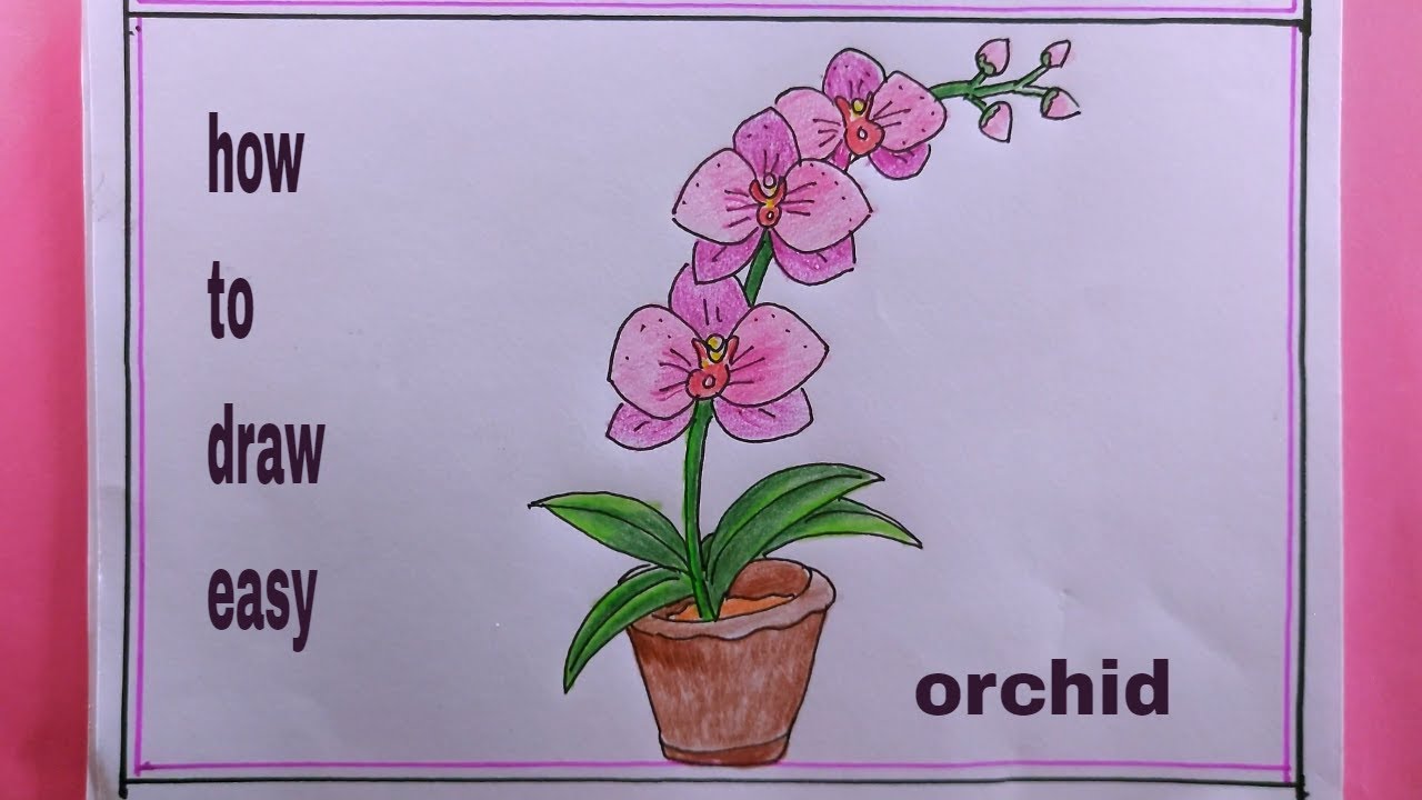 how to draw an Orchid Flower Step by Step/Orchid Flower Drawing