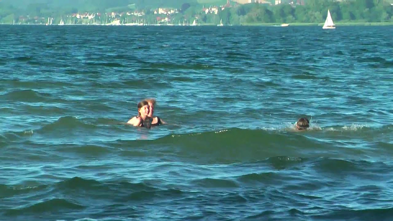 Mit den Pferden Baden im Murtensee