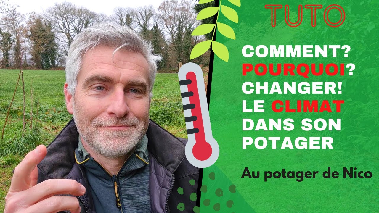 Modifier le climat 🌞 du potager c'est possible? Augmenter sa production de légumes!