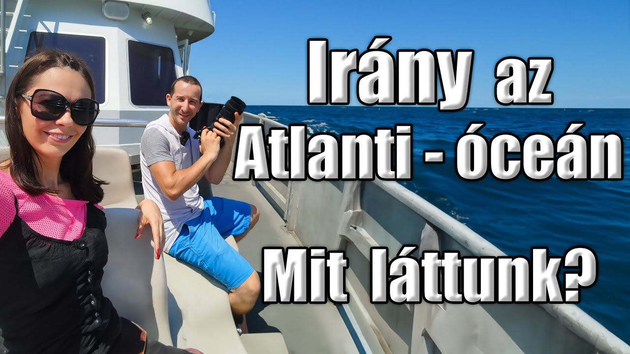 Irány az Atlanti-óceán!  Mit láttunk a vízben? 🐬 OneLife Films