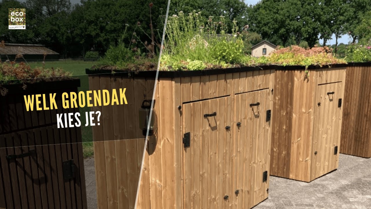 🌿 Dit groendak maakt je kliko ombouw &eacute;cht mooier | diverse opties uitgelegd!