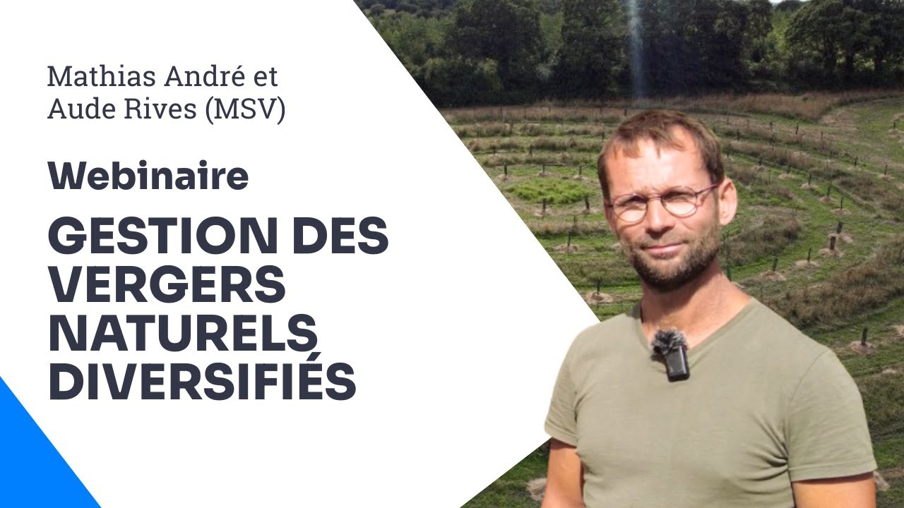 Intensif ou extensif : quel VERGER NATUREL DIVERSIFIÉ choisir pour réussir ?