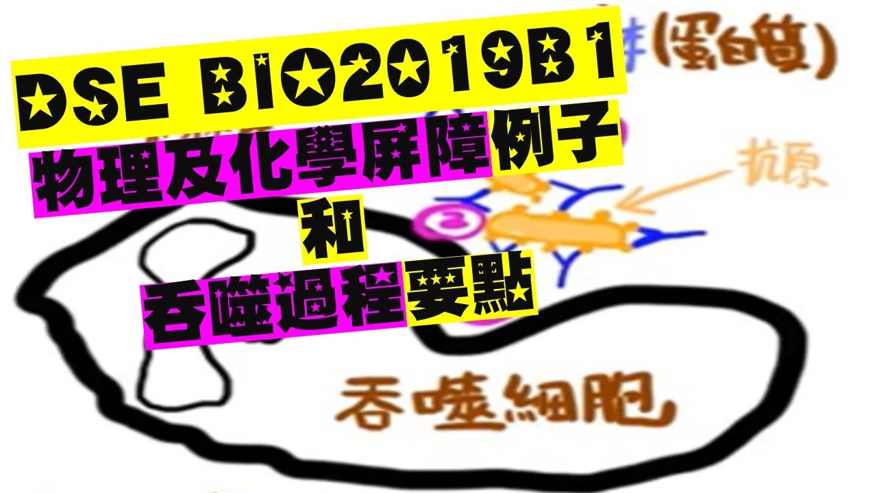 DSE BIO2019B1 物理及化學屏障例子和吞噬過程要點