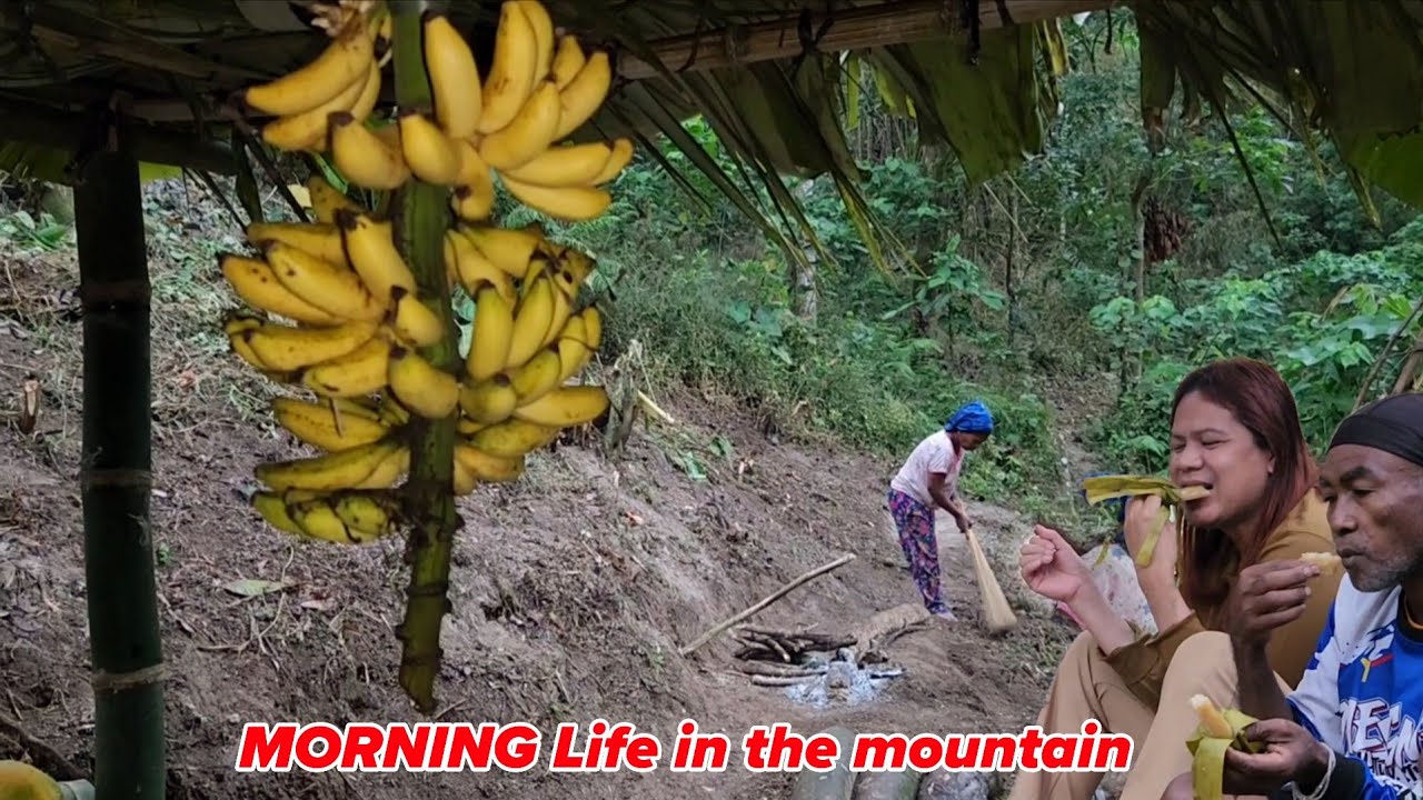 EP77 BAGONG PAMILYA NA KATUTUBO AMING NATUKLASAN SA GITNA NG KABUNDUKAN NAKATIRA