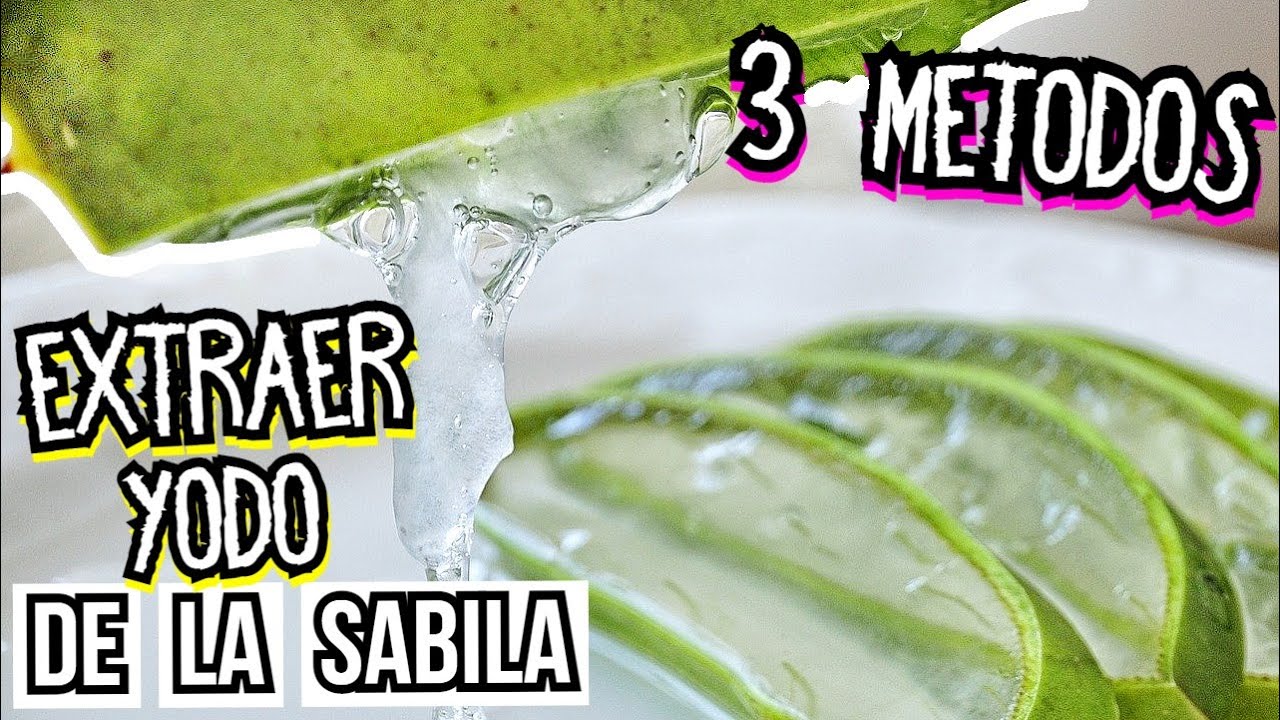 3 METODOS para EXTRAER el YODO de la SABILA (ALOE VERA) | Sacar Alo&iacute;na