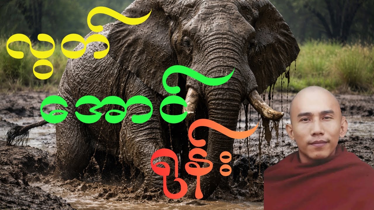 သစ္စာ​ရွှေစည်ဆရာ​တော်၏”သတိနဲ့​ပျော် စိတ်ကိုစောင့် လွတ်​အောင်ရုန်း”#အရှင်ဥတ္တမတရားတော်များ  #buddha 