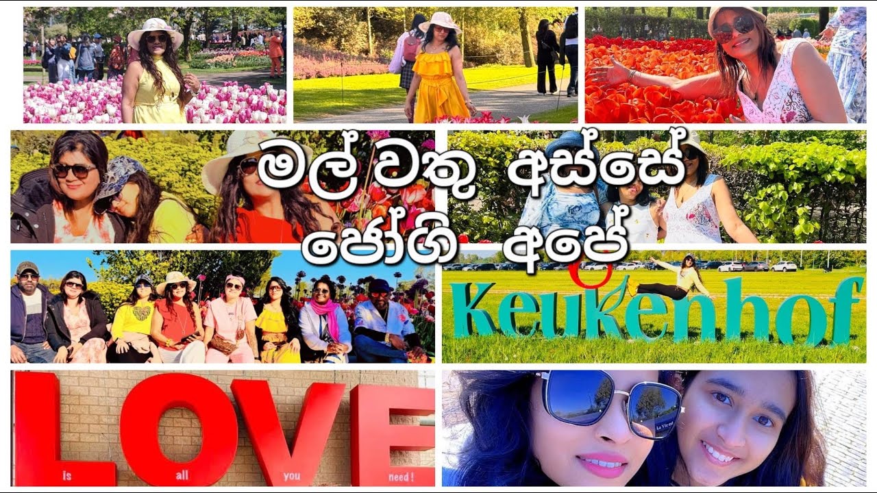 ඔබ නැරබිය යුතුම මල් වත්ත In Europe