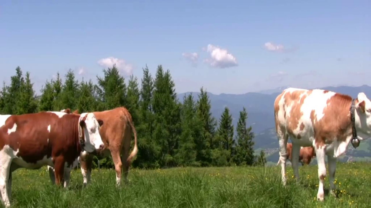 Semriach - Ein schönes Stück Steiermark