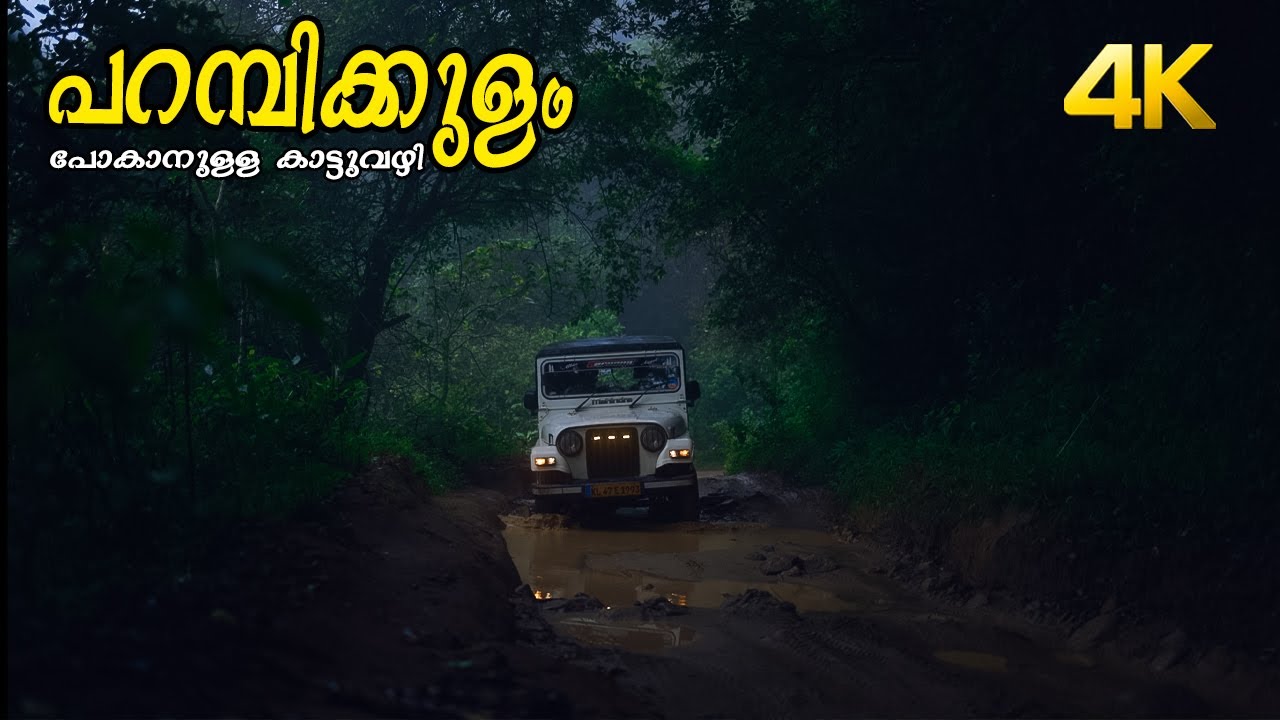 പറമ്പിക്കുളം പോകാനുള്ള കാട്ടുവഴി !!! 4K