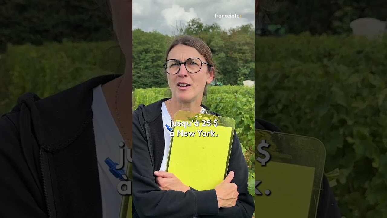 Vendanges &agrave; Sancerre : le vignoble face aux crises