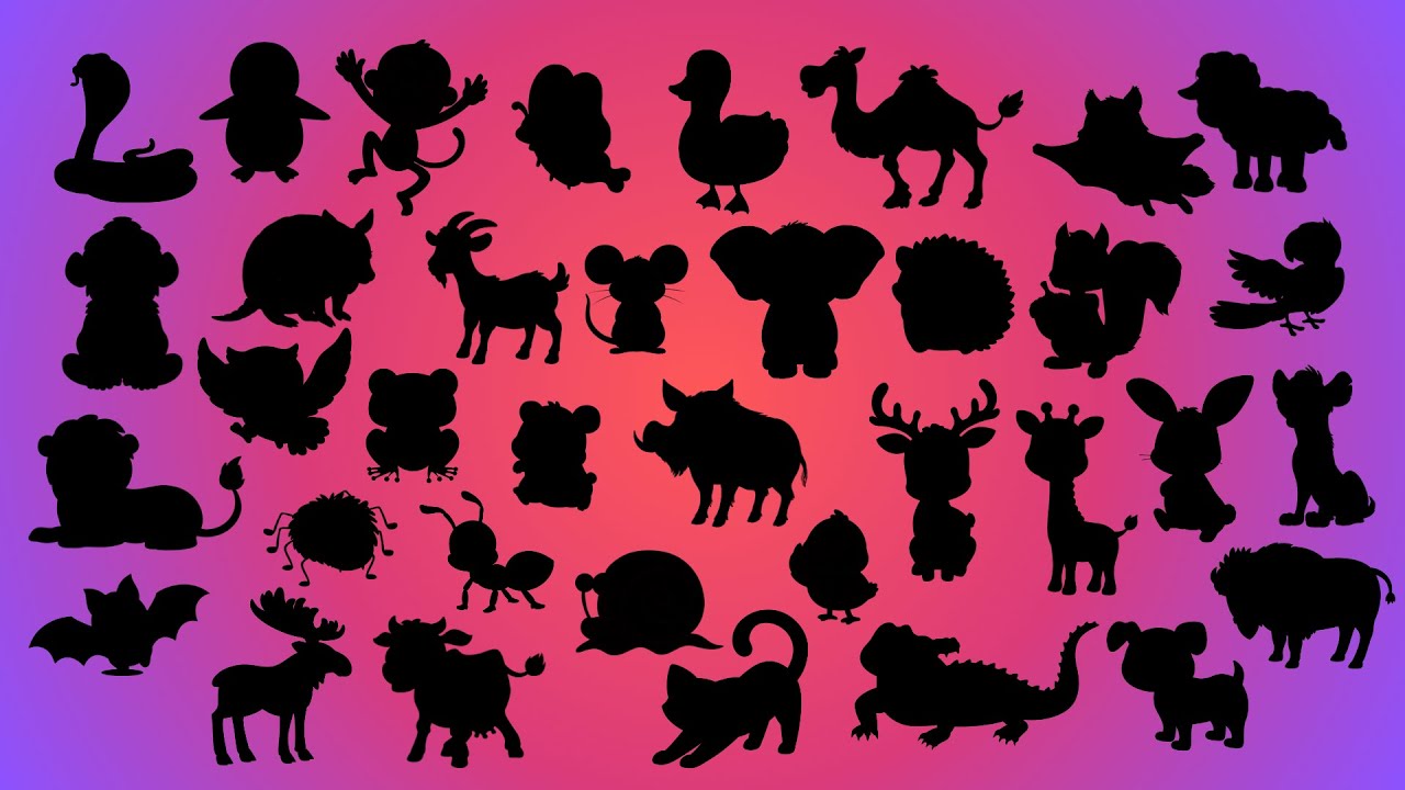 Qual Animal é Esse? Descubra Pela Sombra! 🦁🐘