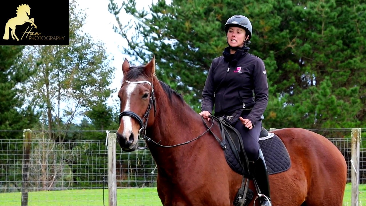 Teaching your Horse to Turn on the Haunches